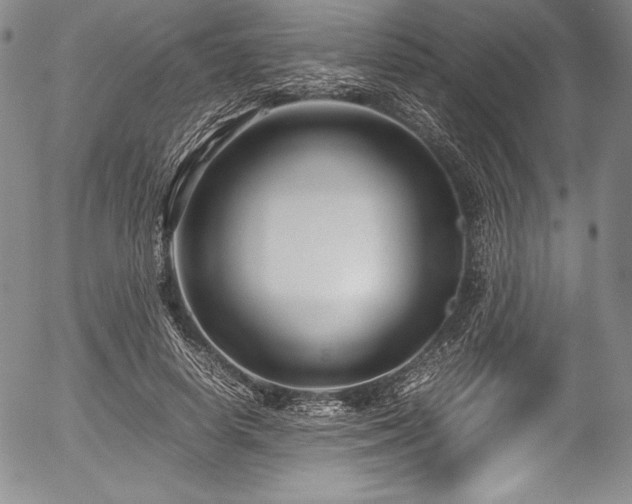 X0000054370642200508011221