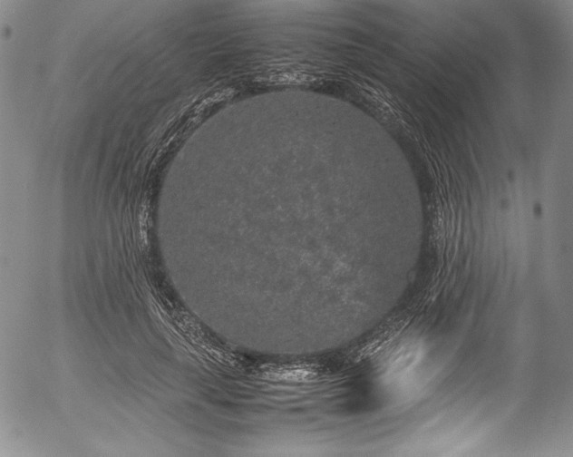 X0000054370643200508011221