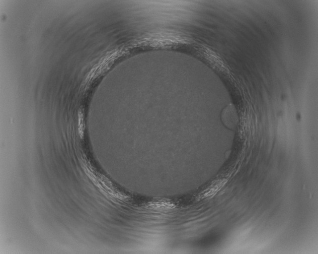 X0000054370644200508011221