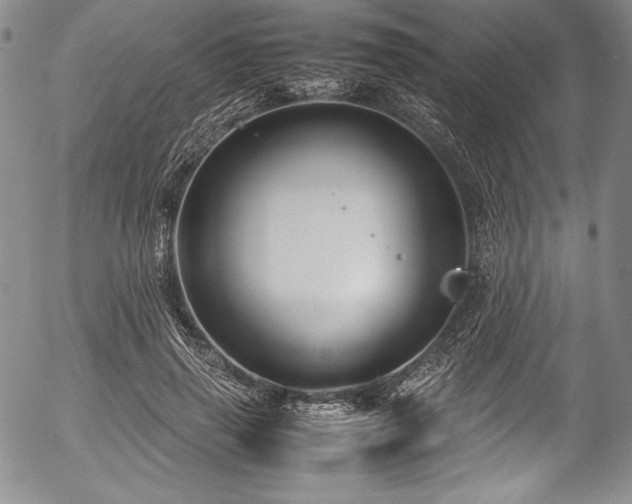 X0000054370645200508011221