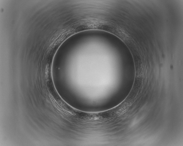 X0000054370646200508011221