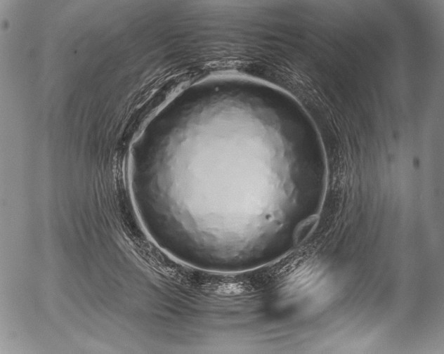 X0000054370647200508011221