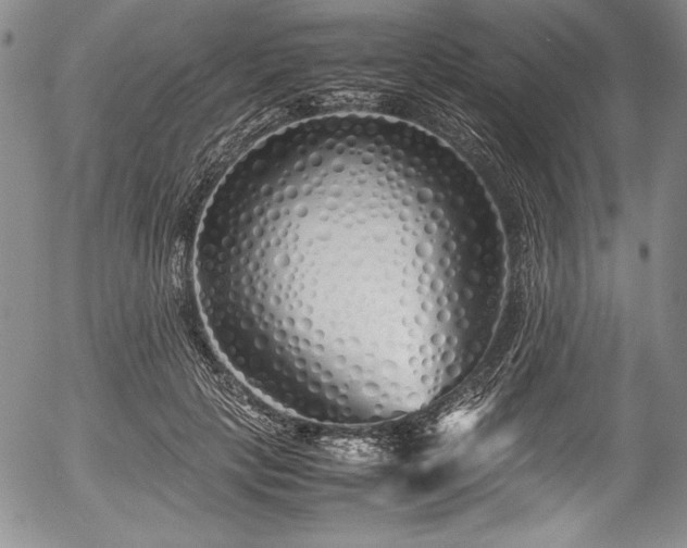 X0000054370649200508011221