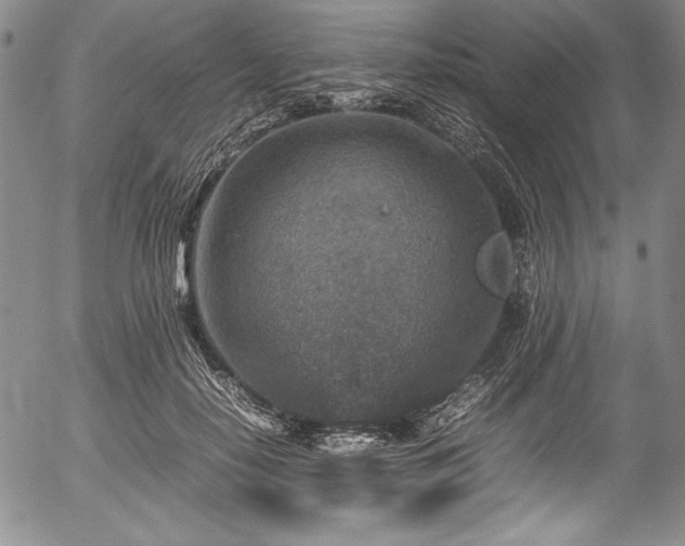 X0000054370650200508011221