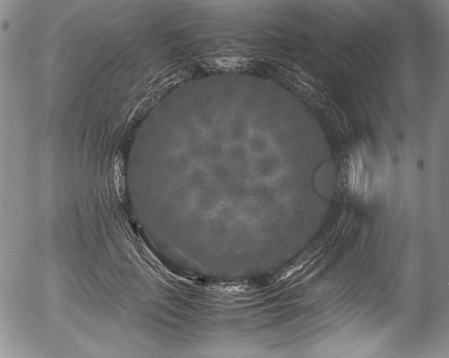 X0000054370651200508011222