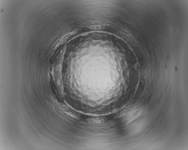 X0000054370652200508011222