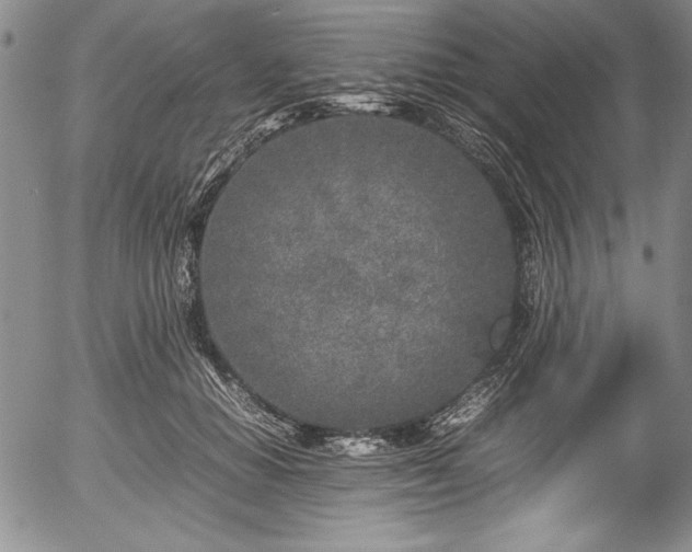 X0000054370654200508011222