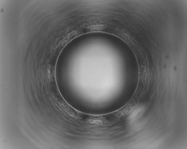 X0000054370655200508011222