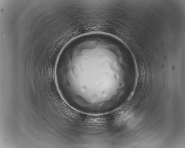 X0000054370657200508011222