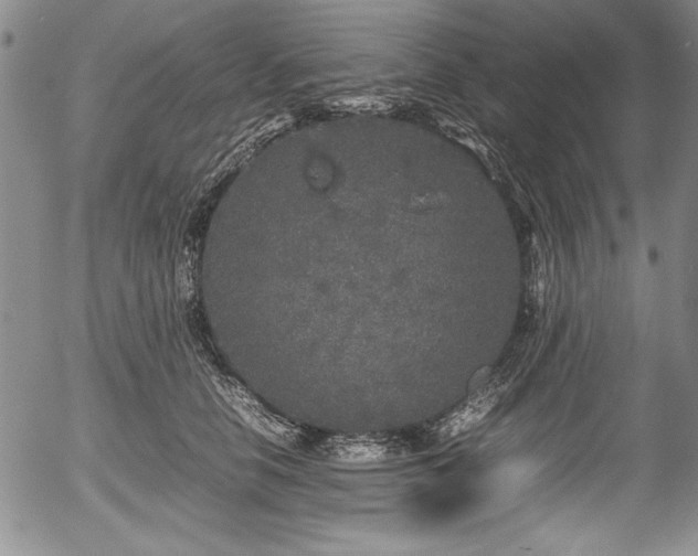 X0000054370658200508011222