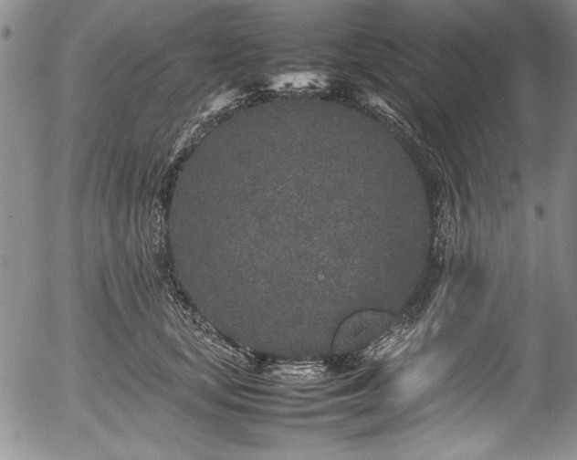 X0000054370659200508011222