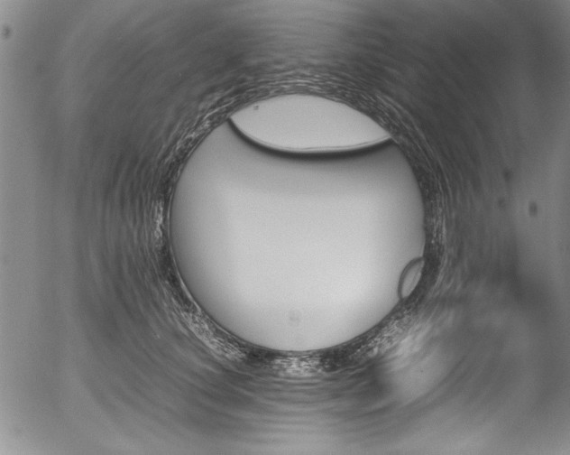 X0000054370660200508011222