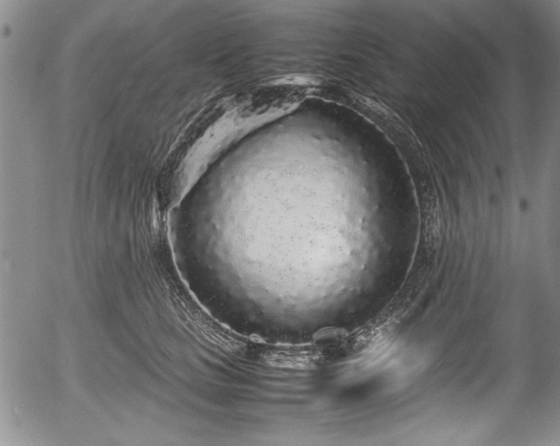 X0000054370661200508011222