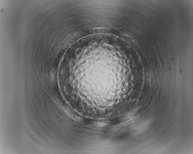 X0000054370662200508011222