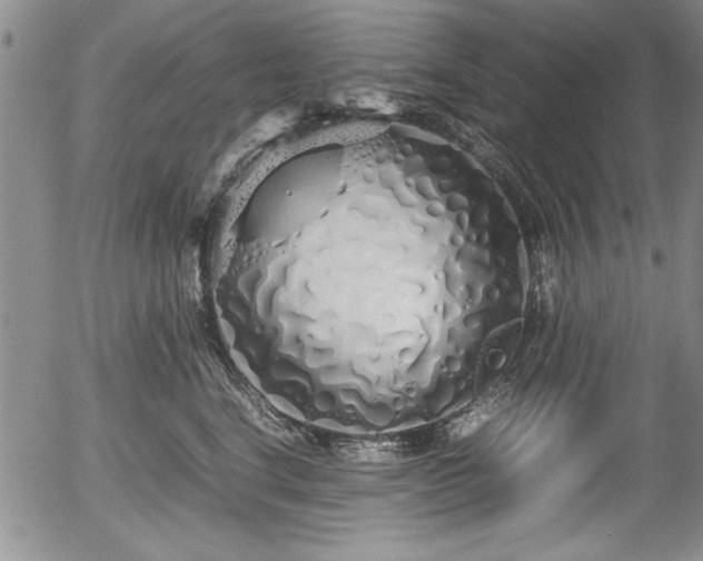 X0000054370664200508011222