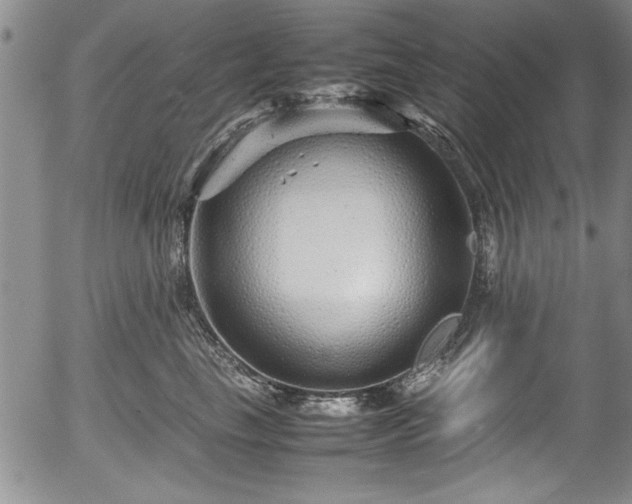 X0000054370665200508011222