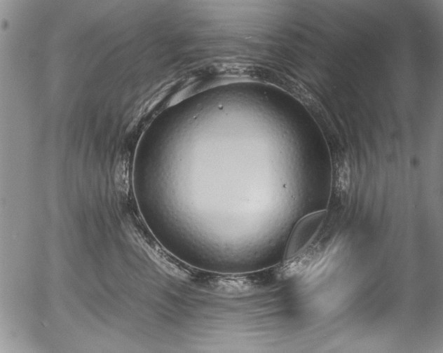 X0000054370666200508011222