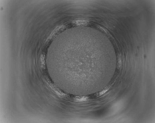 X0000054370667200508011222