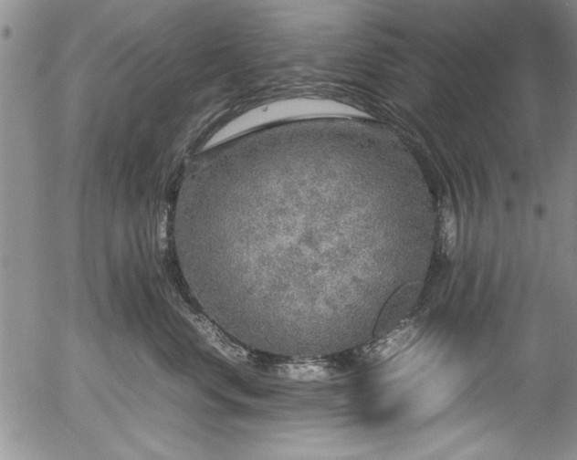 X0000054370668200508011222