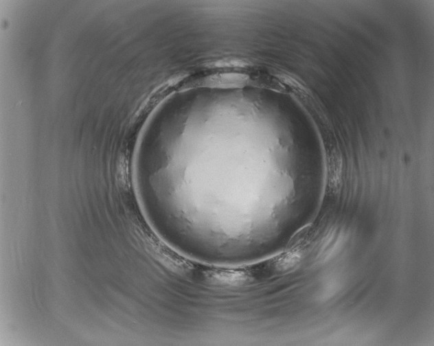 X0000054370669200508011222