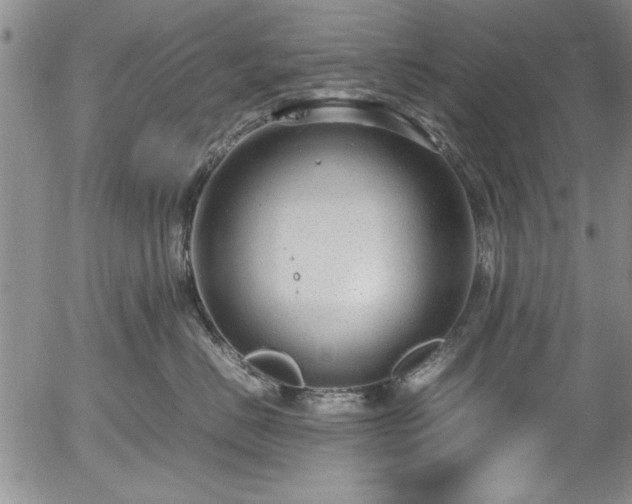 X0000054370670200508011222