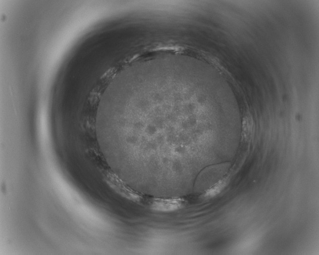 X0000054370671200508011222