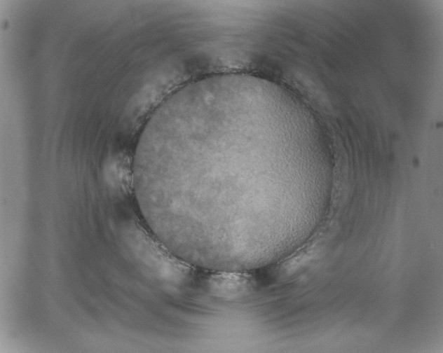 X0000054370672200508011222