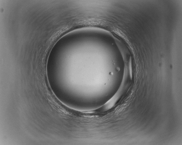 X0000054370673200508011221