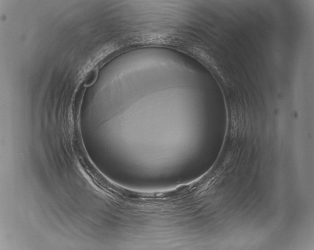 X0000054370674200508011221