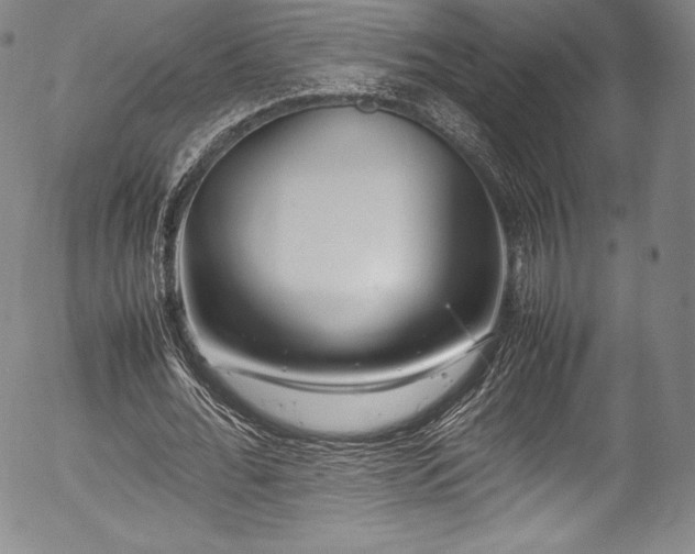 X0000054370676200508011221