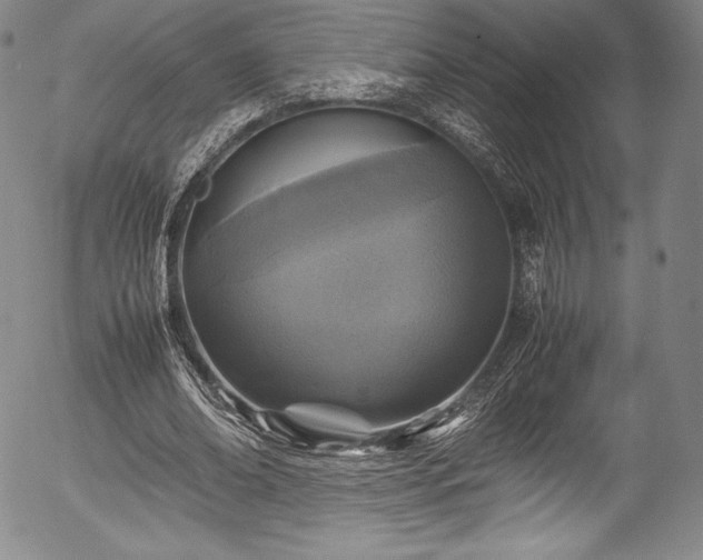 X0000054370678200508011221