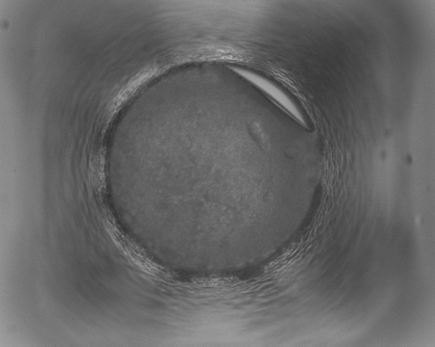 X0000054370679200508011221