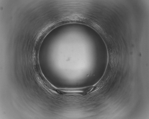 X0000054370680200508011221