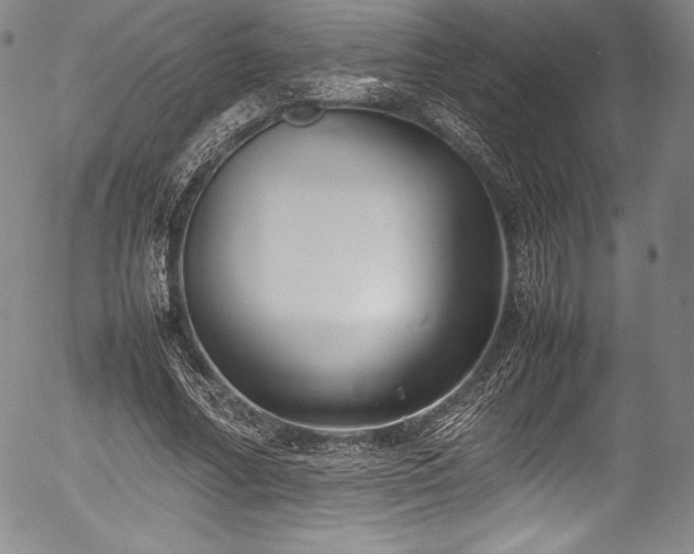 X0000054370682200508011221