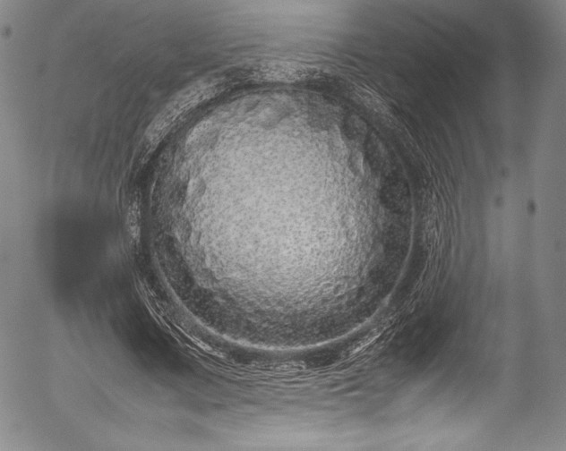 X0000054370683200508011221