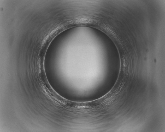 X0000054370684200508011221