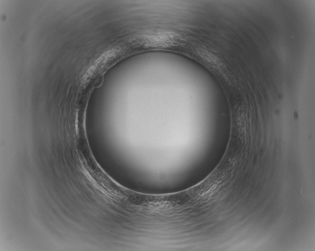 X0000054370686200508011221