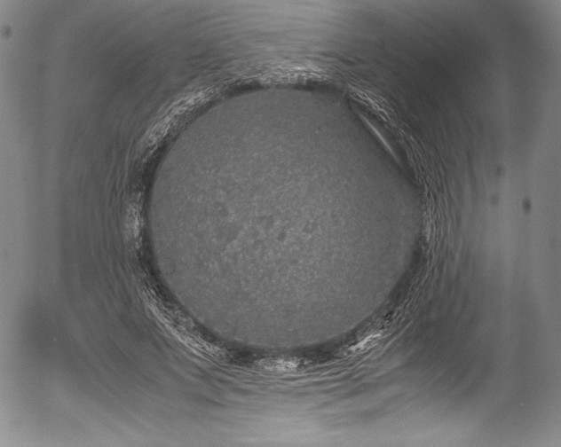 X0000054370687200508011221