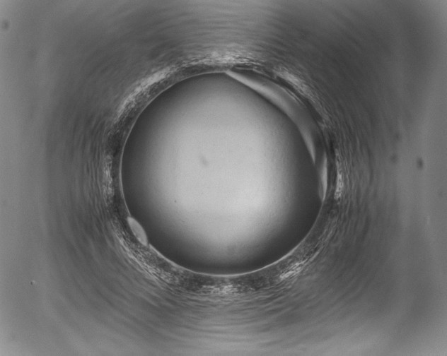 X0000054370688200508011221