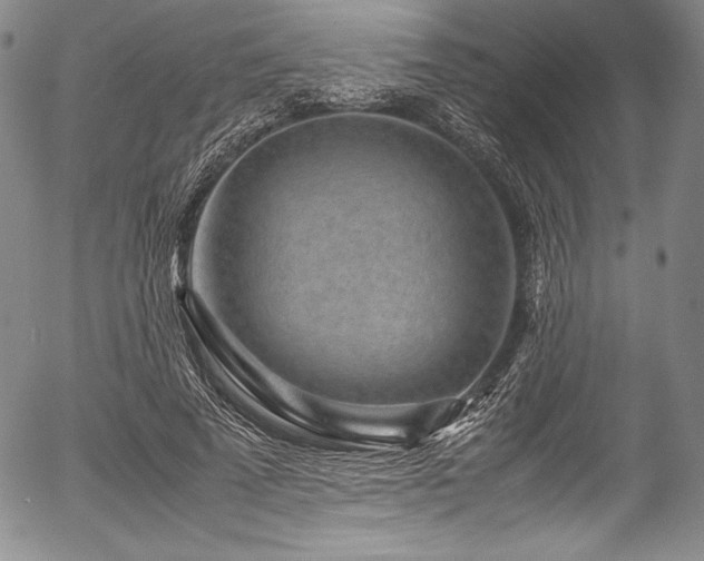 X0000054370689200508011221