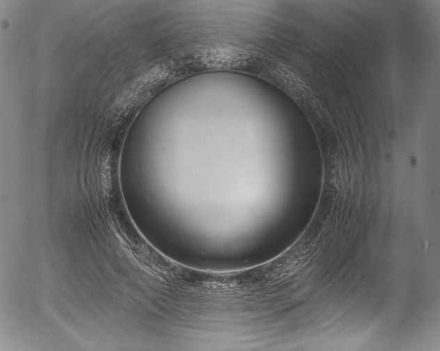 X0000054370690200508011221