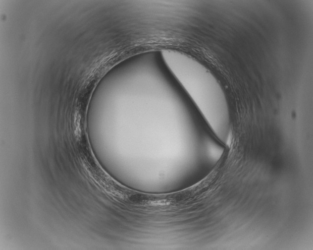 X0000054370692200508011221