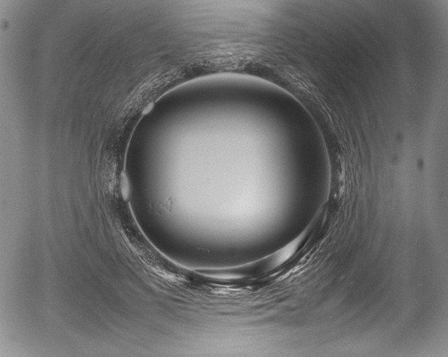 X0000054370693200508011221