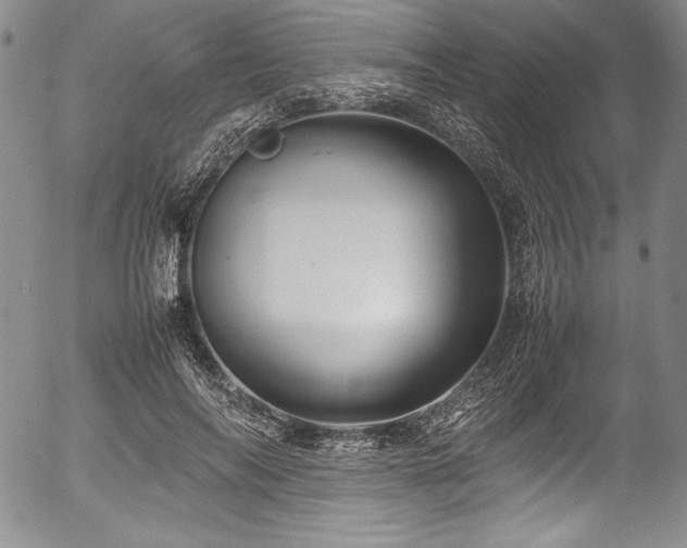 X0000054370694200508011221