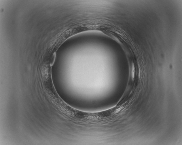 X0000054370697200508011221