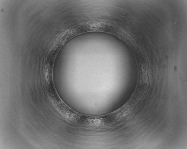 X0000054370698200508011221