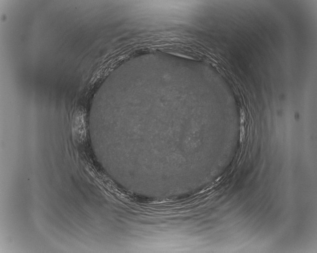 X0000054370699200508011221