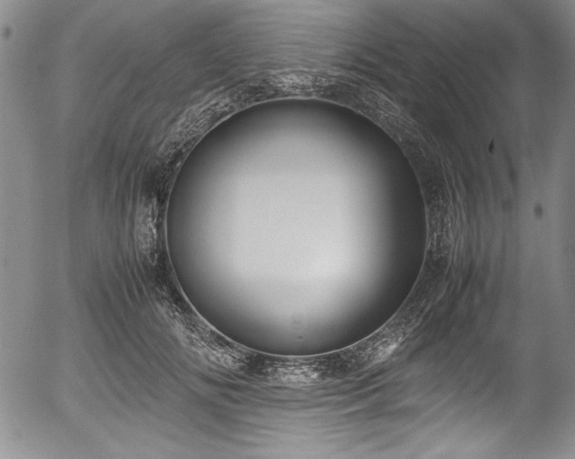 X0000054370702200508011221