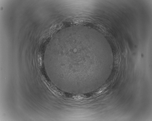 X0000054370703200508011221