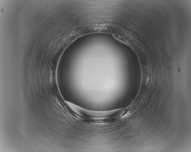 X0000054370704200508011221